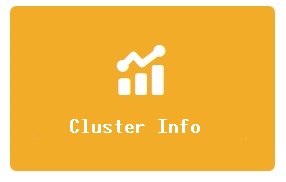 Cluster Info